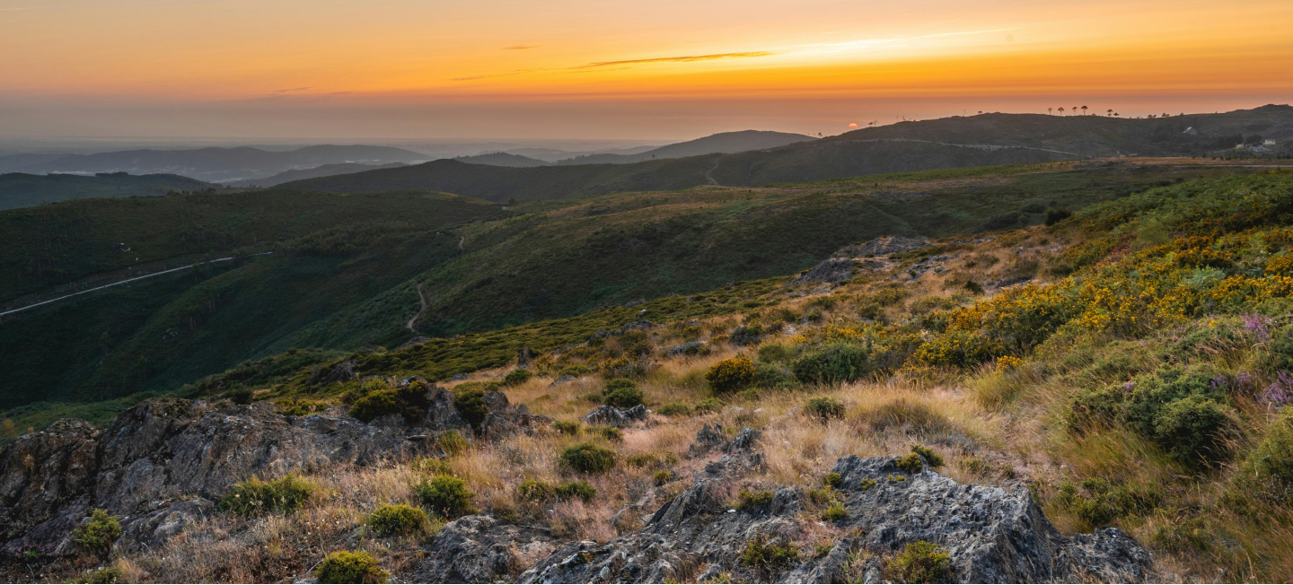 Nature mountains van Houvast bij dementie